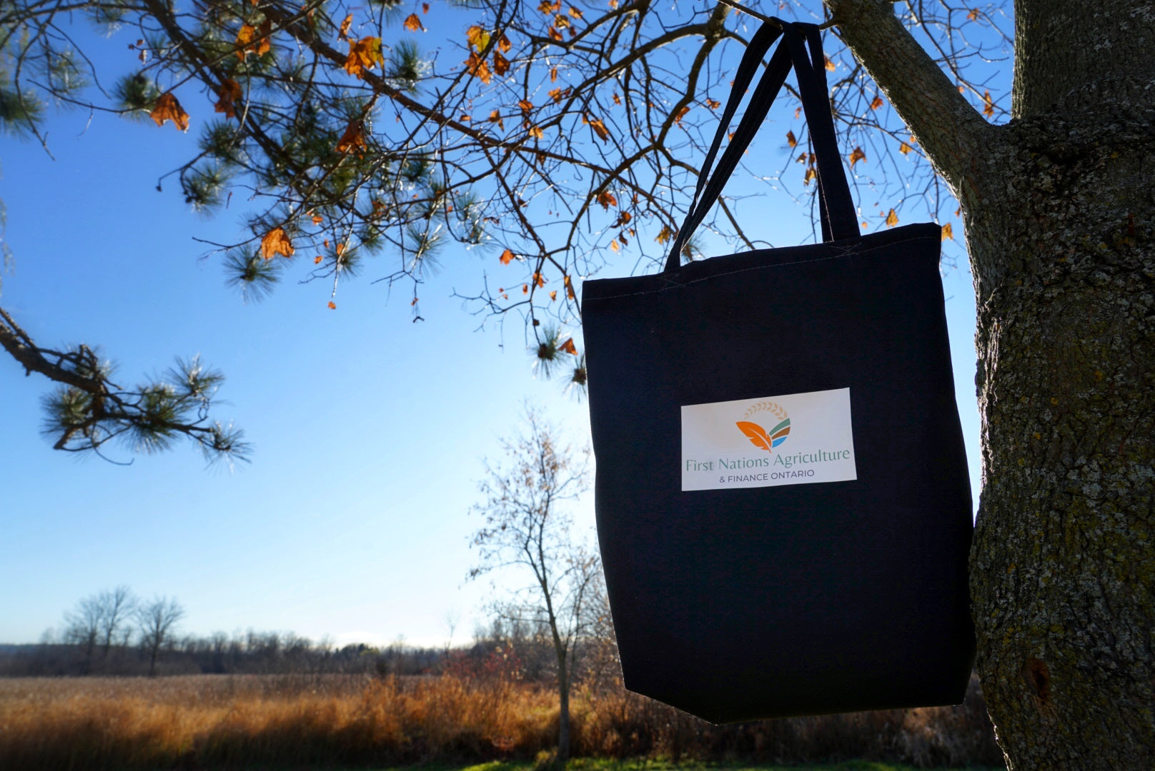 Ontario First Nations Gift Box