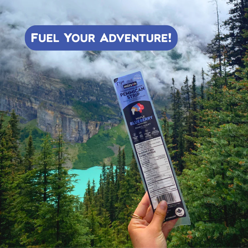 Pemmican Strips - Maple Blueberry (23g)