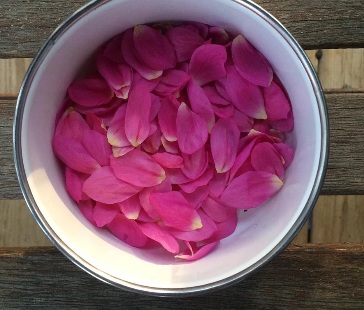 Wild Rose &amp; Sage Bath Salts